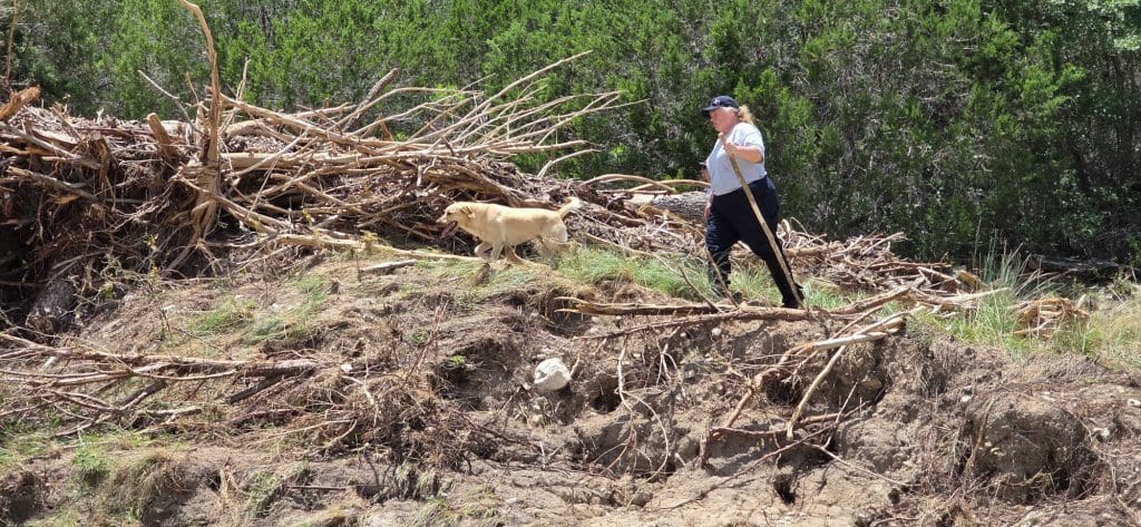Wisconsin Task Force 1 K9 Duke searches an area in Texas. Courtesy: Wisconsin Task Force 1