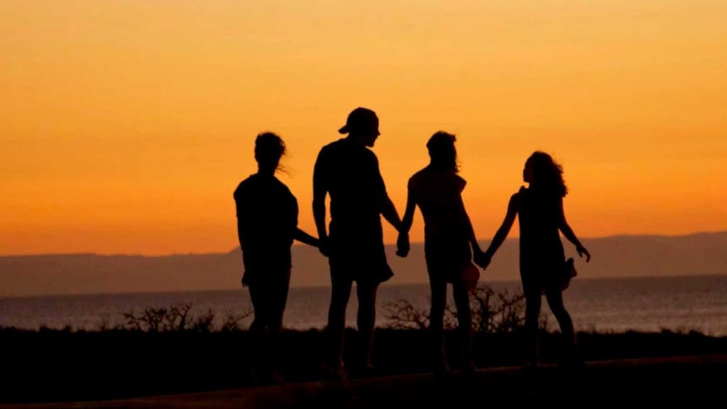 A backlit family as they hold hands and watch the sunset