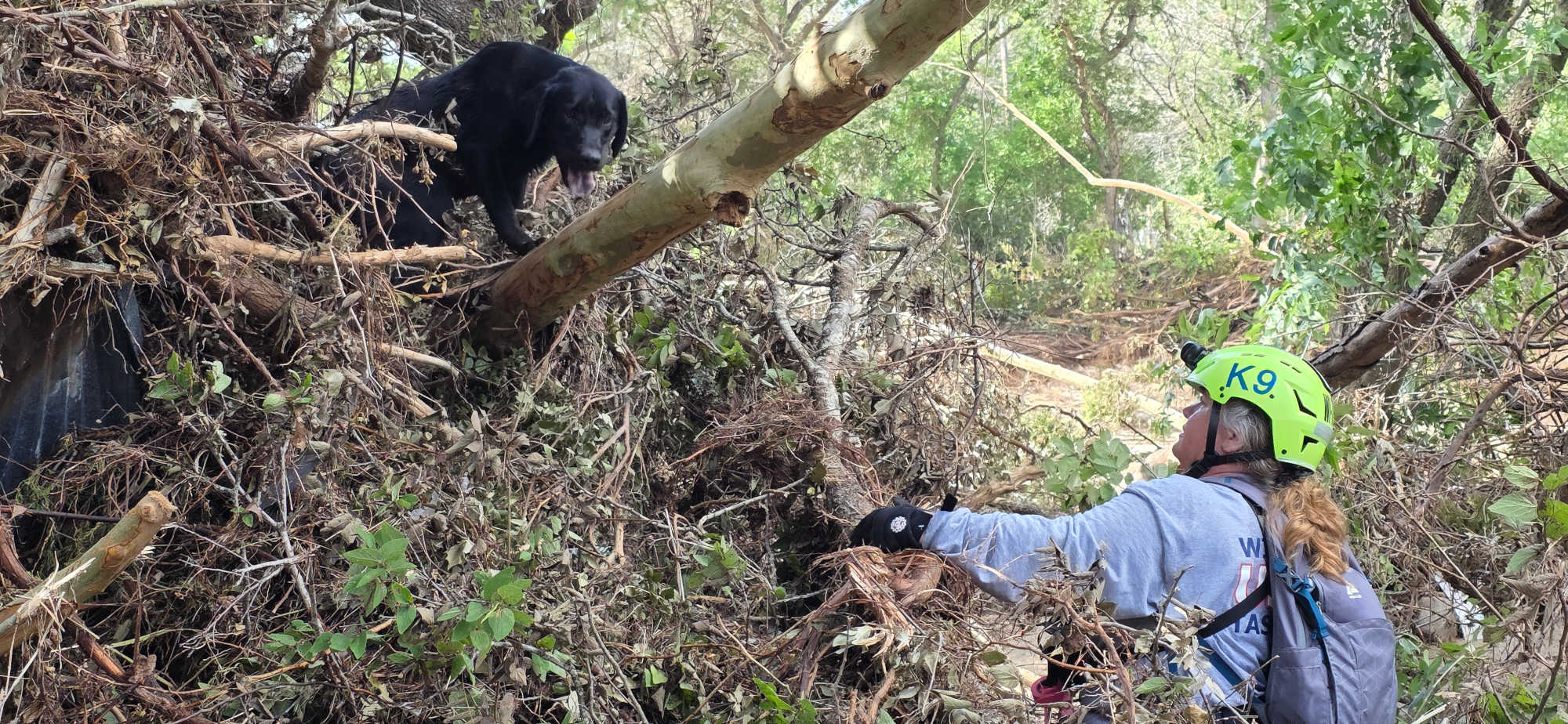 Wisconsin Task Force 1 K9 handler and K9 search a debris pile in Texas. Courtesy: Wisconsin Task Force 1