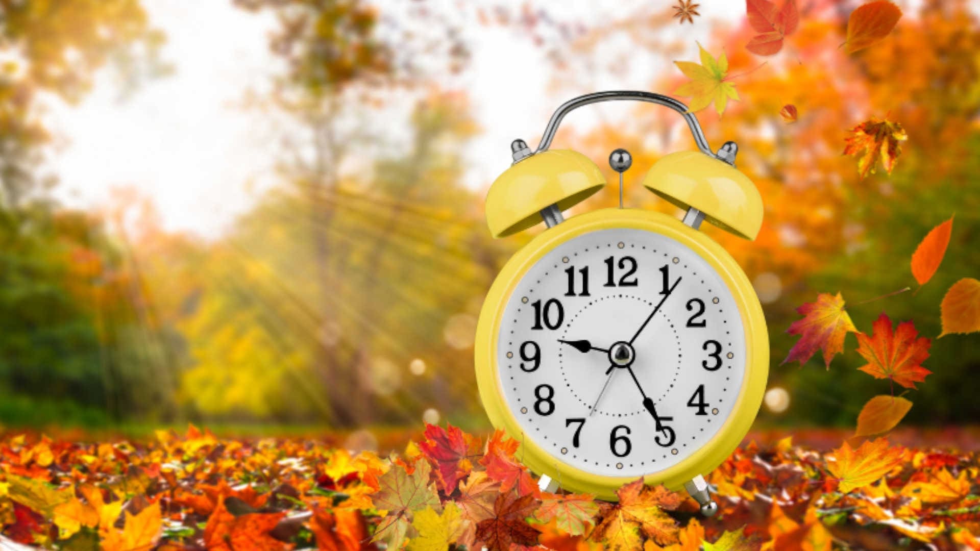 A clock surrounded by fall leaves