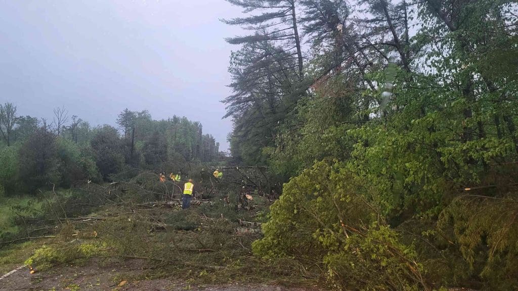 A cleanup crew working to clean up a lot of downed trees over the road