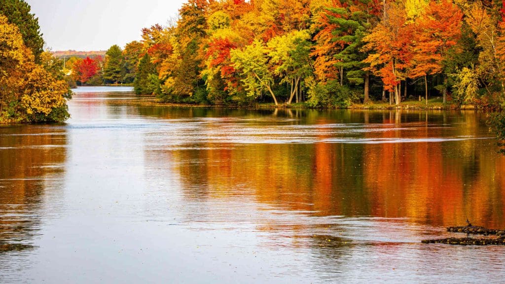 a beautiful river with fall colors on all the trees