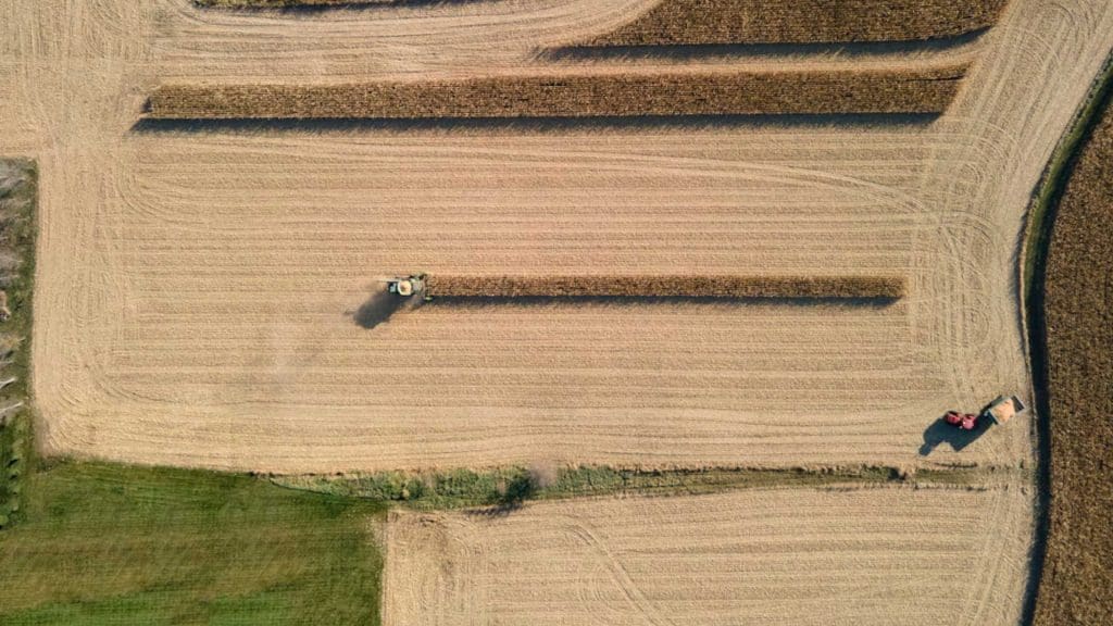 farmers collecting crops in their fields