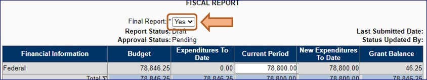 A screenshot of the fiscal report options (described on the page)