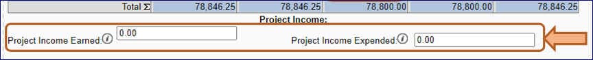 A screenshot of the project income options (described on the page)