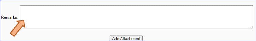 A screenshot of the remarks options (described on the page)