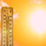 A photo of a thermometer with a temp of 102F.