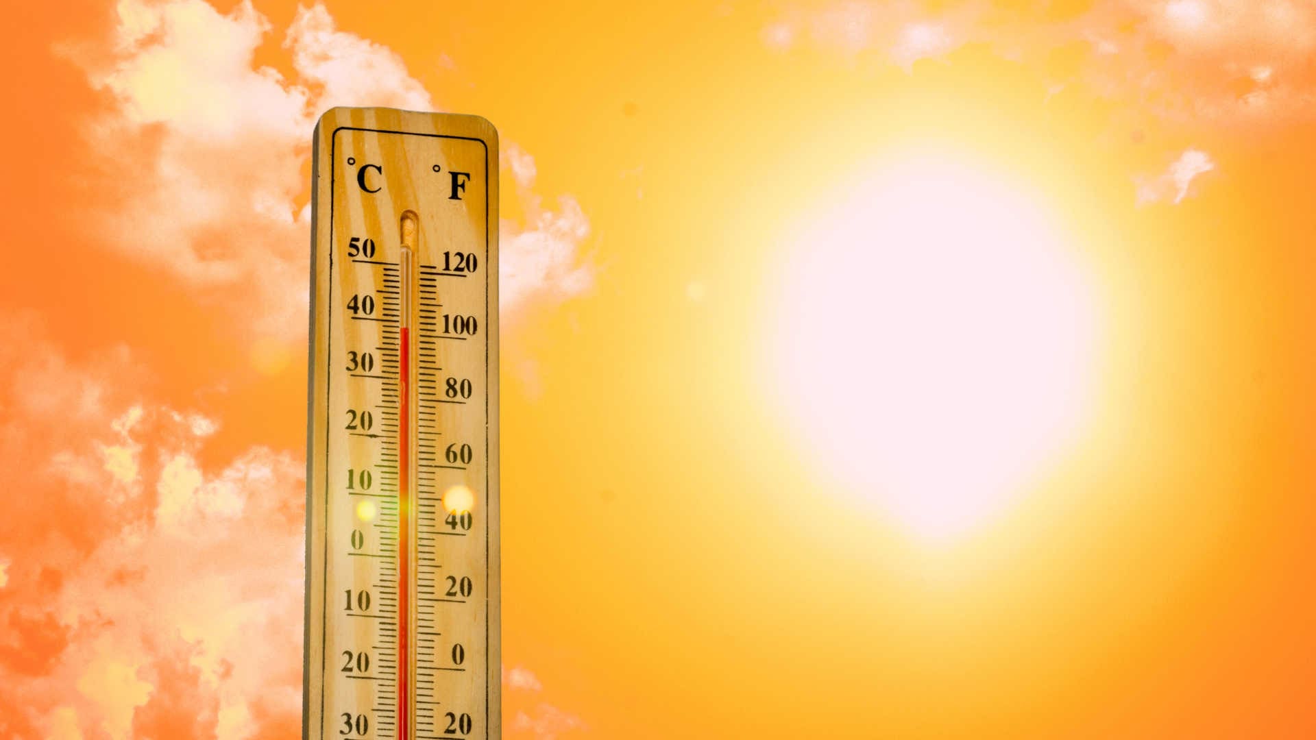 A photo of a thermometer with a temp of 102F.