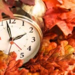 a clock sitting among fall leaves