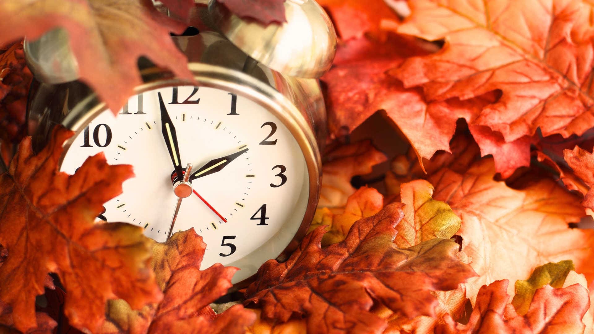 a clock sitting among fall leaves