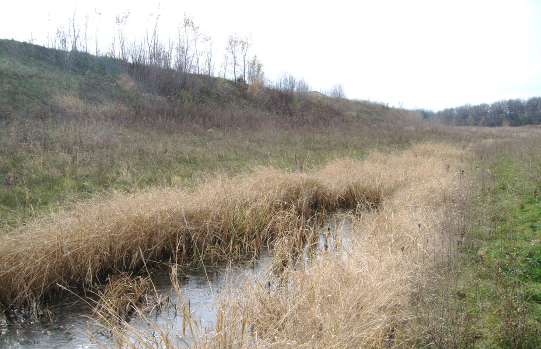 A half frozen creek in the middle of an open field