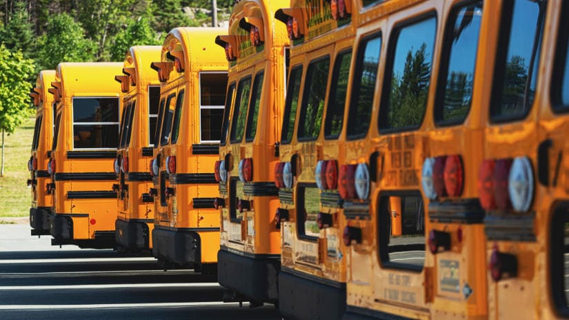 a line of parked school buses